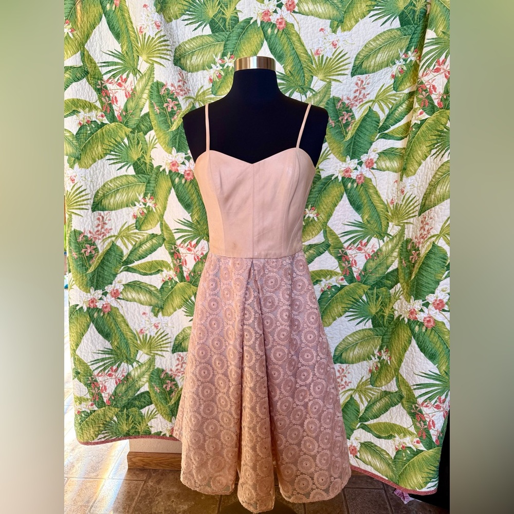 Hunter Bell Sz 4 Blush Lambskin Corset Embroidered Midi Dress with Deep Pockets!